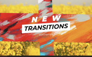 Titles Transitions by Motion Jungle 17