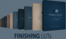 Lens Distortions – Finishing LUTS 16